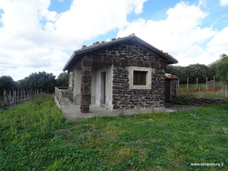 sco di Centorbi-18-10-2020 12